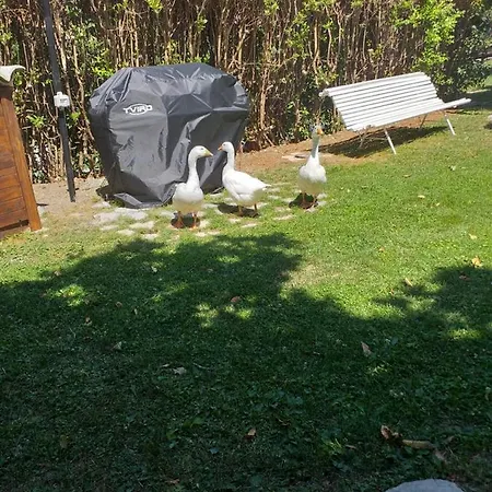 Farmház Campagna In Compagnia Vallo di Nera