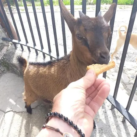 Campagna In Compagnia Vakantieboerderij *