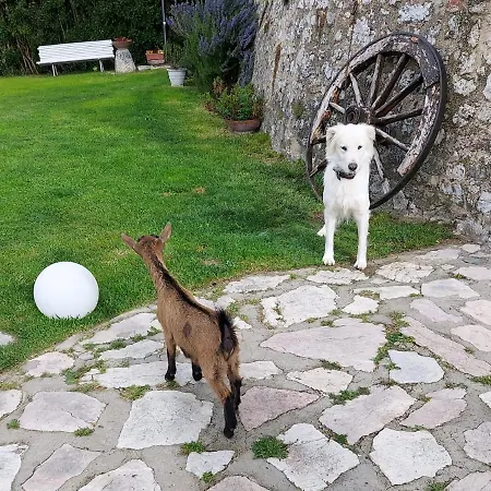 Campagna In Compagnia Vallo di Nera