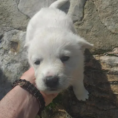 Campagna In Compagnia Vakantieboerderij