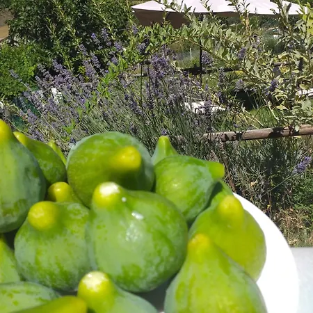 Campagna In Compagnia Vallo di Nera