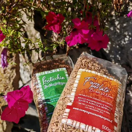 Campagna In Compagnia