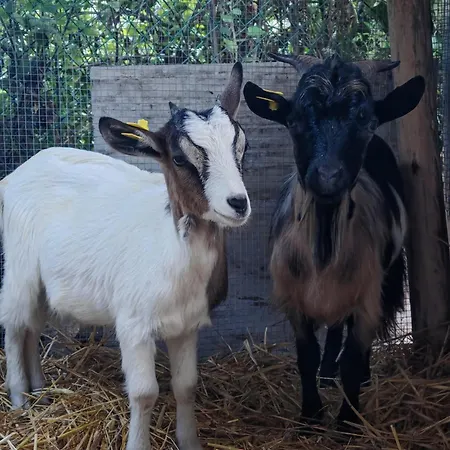 Campagna In Compagnia Farmház *