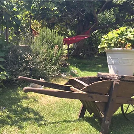 Campagna In Compagnia Vakantieboerderij