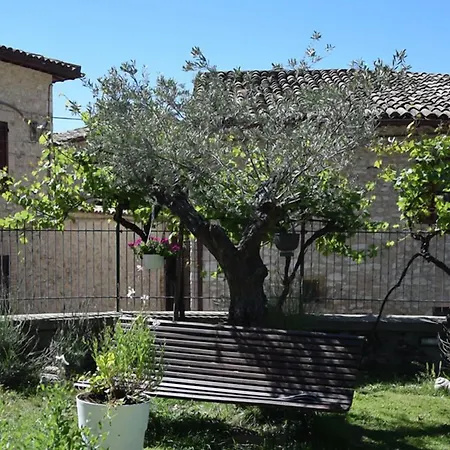 Campagna In Compagnia *