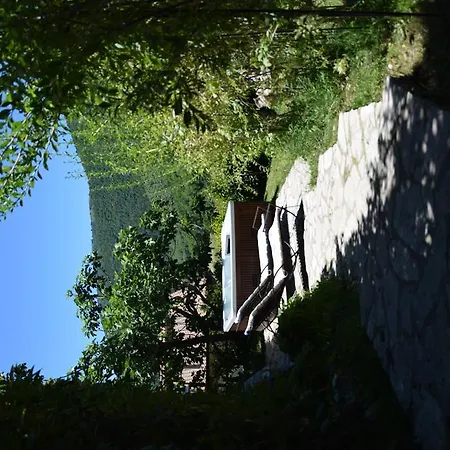 Campagna In Compagnia