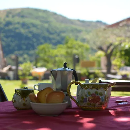 Campagna In Compagnia