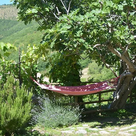 Campagna In Compagnia Vallo di Nera