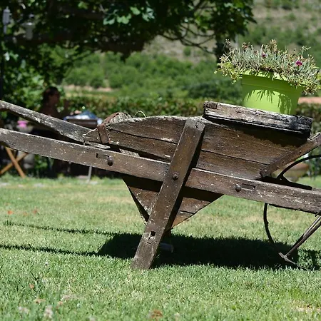 Campagna In Compagnia