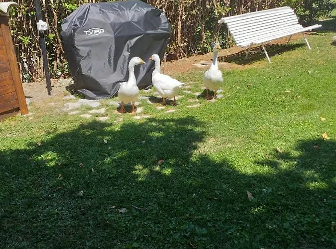 Séjour à la ferme Campagna In Compagnia Vallo di Nera