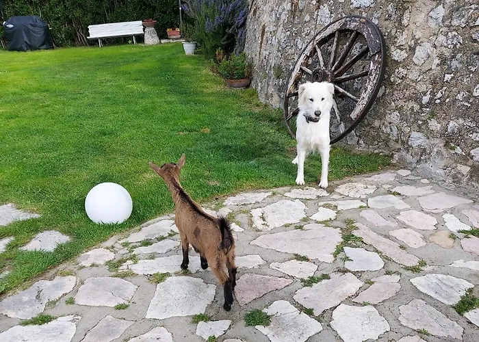 Campagna In Compagnia Vallo di Nera