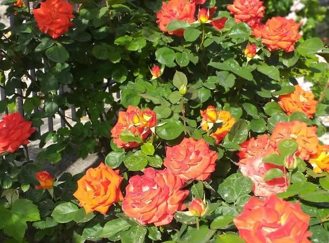 Campagna In Compagnia Séjour à la ferme