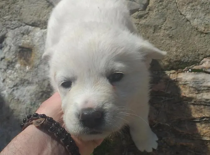 Campagna In Compagnia Farma