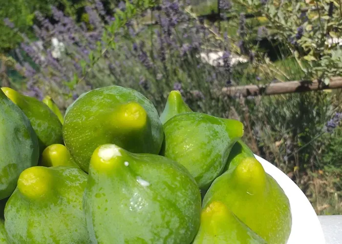 Campagna In Compagnia *