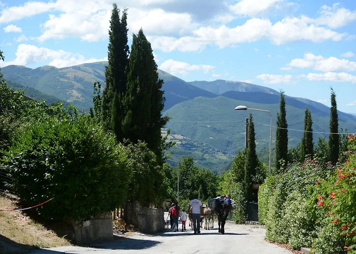 Campagna In Compagnia