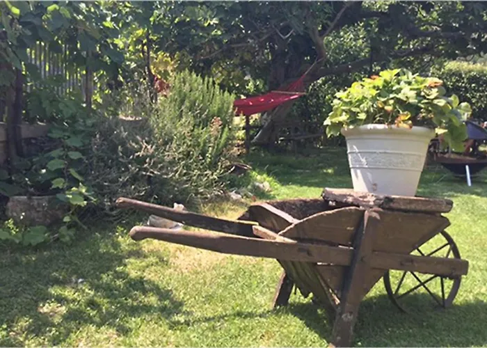 Campagna In Compagnia Farma