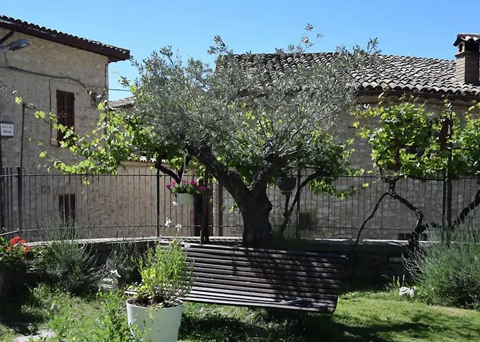 Campagna In Compagnia *