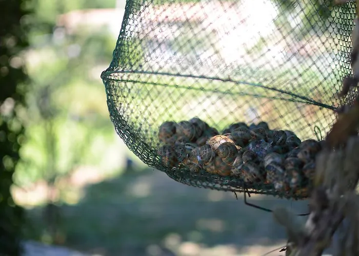 Campagna In Compagnia *